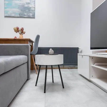 Mikolowska Apartment