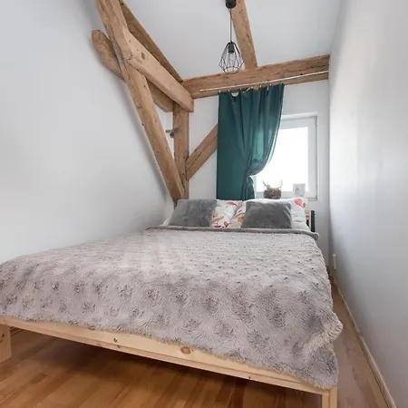 Apartment Mikolowska Gliwice