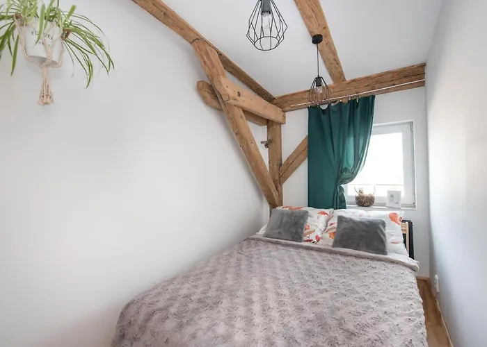 Apartment Mikolowska Gliwice